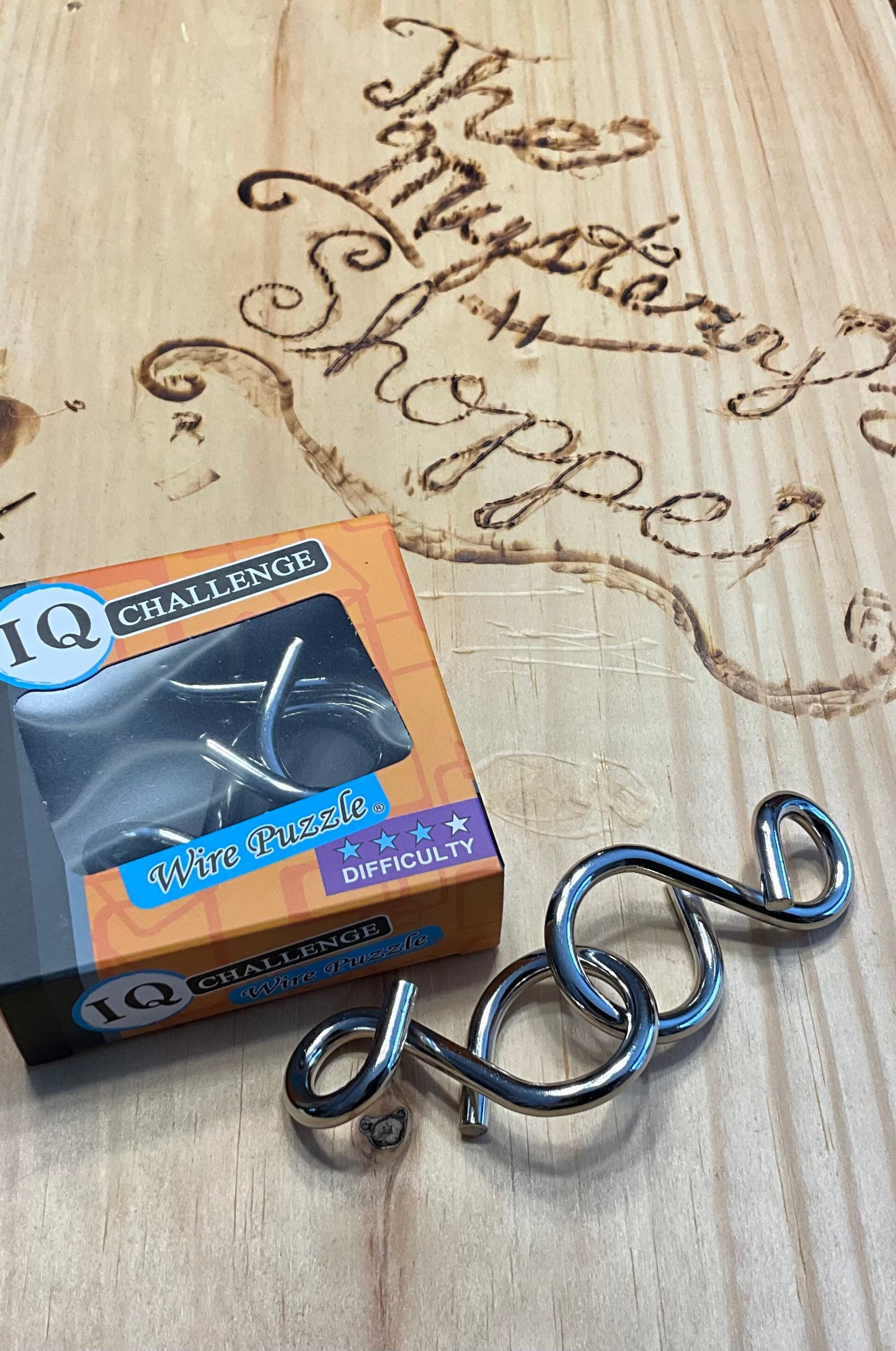 IQ Challenge Metal Wire Puzzles