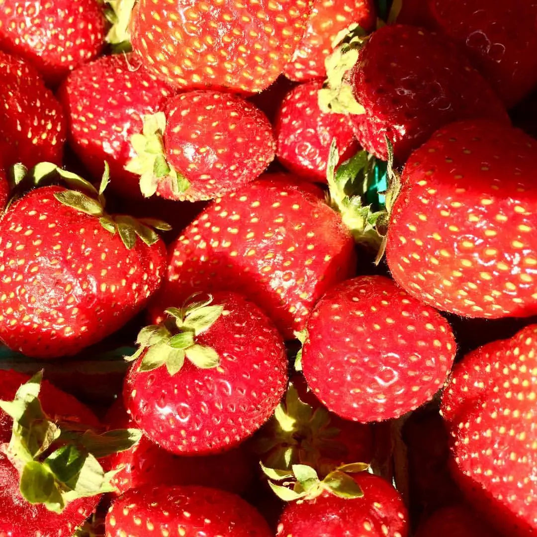 Strawberry Garden in a Bag